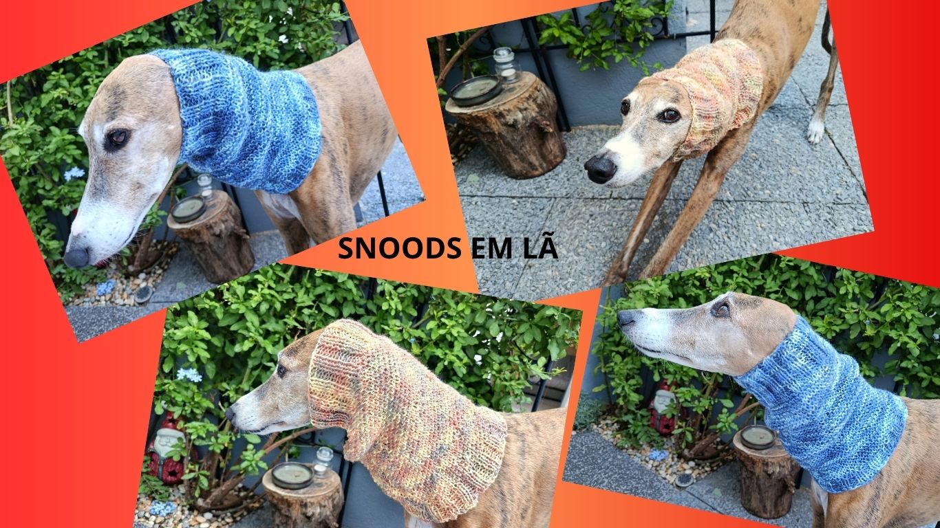 SNOODS