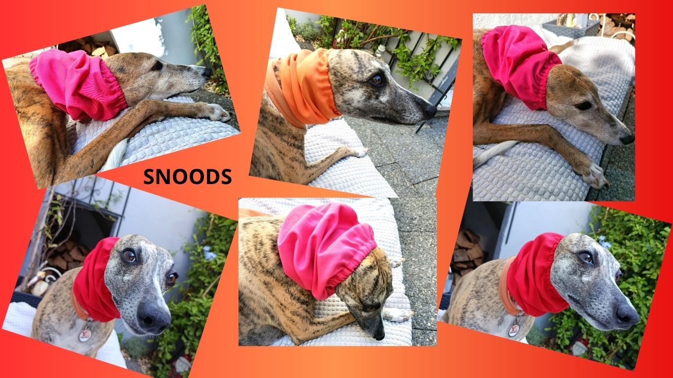 SNOODS